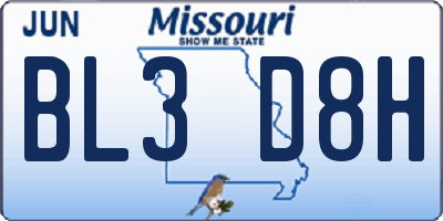 MO license plate BL3D8H