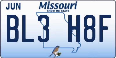 MO license plate BL3H8F