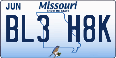 MO license plate BL3H8K