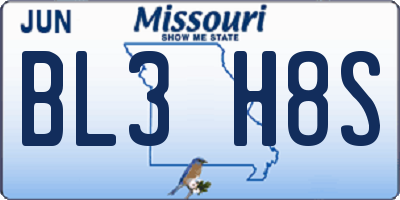 MO license plate BL3H8S
