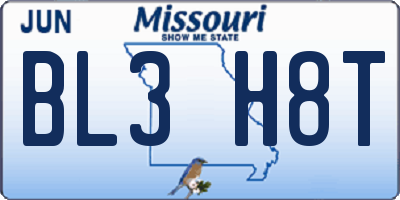 MO license plate BL3H8T