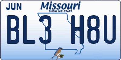 MO license plate BL3H8U