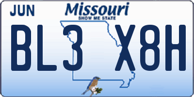 MO license plate BL3X8H