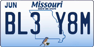 MO license plate BL3Y8M