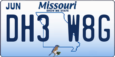 MO license plate DH3W8G