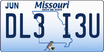 MO license plate DL3I3U