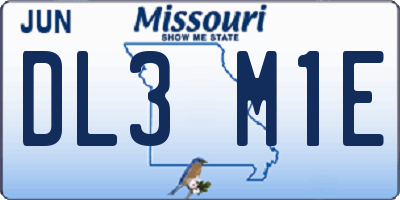 MO license plate DL3M1E