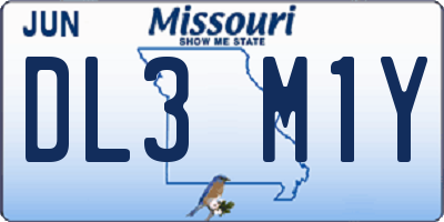 MO license plate DL3M1Y