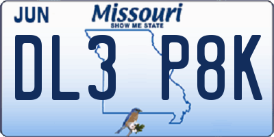 MO license plate DL3P8K
