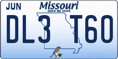MO license plate DL3T6O