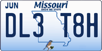 MO license plate DL3T8H