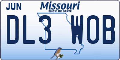 MO license plate DL3W0B