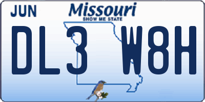 MO license plate DL3W8H