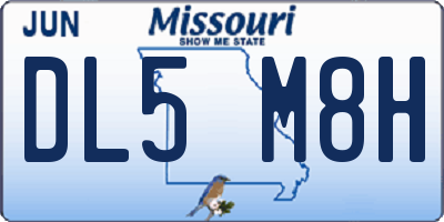 MO license plate DL5M8H