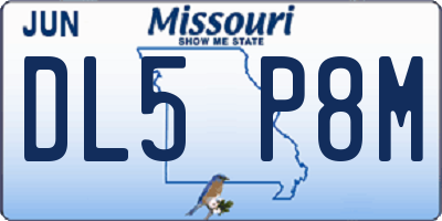 MO license plate DL5P8M