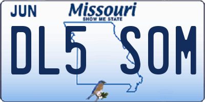 MO license plate DL5S0M