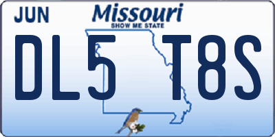 MO license plate DL5T8S