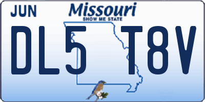MO license plate DL5T8V