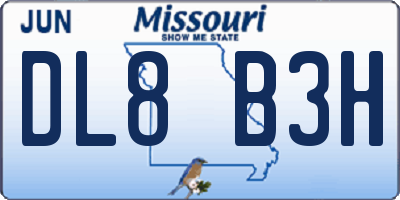 MO license plate DL8B3H