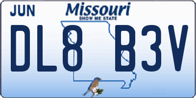 MO license plate DL8B3V