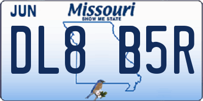MO license plate DL8B5R