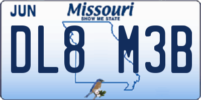 MO license plate DL8M3B