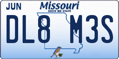 MO license plate DL8M3S