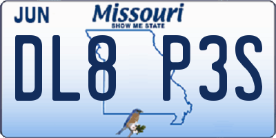 MO license plate DL8P3S