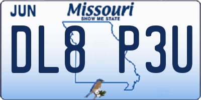 MO license plate DL8P3U