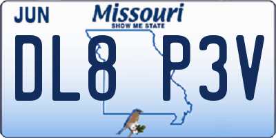MO license plate DL8P3V