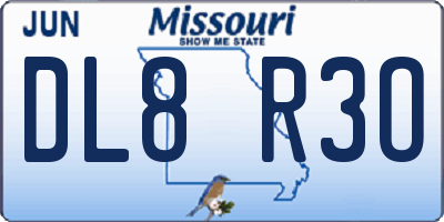 MO license plate DL8R3O
