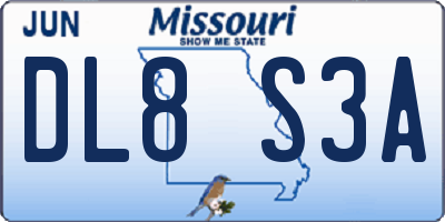 MO license plate DL8S3A