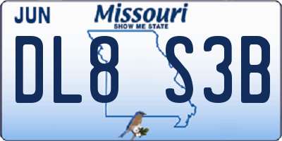 MO license plate DL8S3B