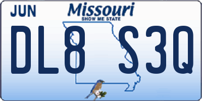 MO license plate DL8S3Q