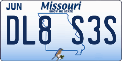 MO license plate DL8S3S