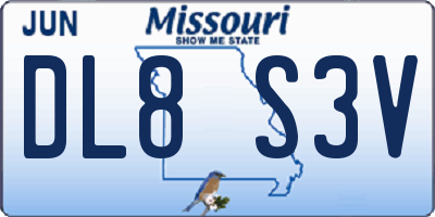 MO license plate DL8S3V