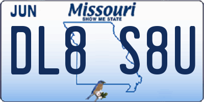 MO license plate DL8S8U
