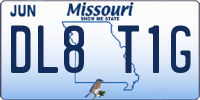 MO license plate DL8T1G
