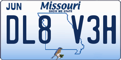 MO license plate DL8V3H
