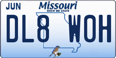 MO license plate DL8W0H