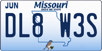 MO license plate DL8W3S