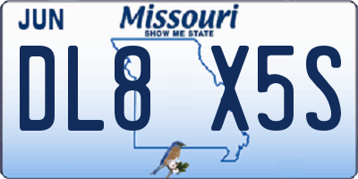 MO license plate DL8X5S