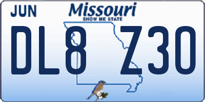 MO license plate DL8Z3O