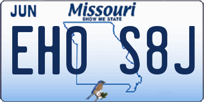 MO license plate EH0S8J