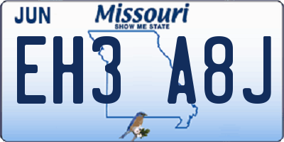 MO license plate EH3A8J