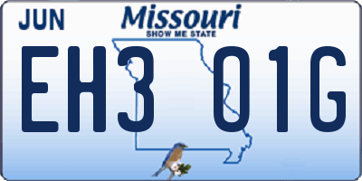 MO license plate EH3O1G