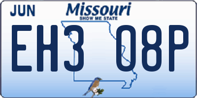 MO license plate EH3O8P
