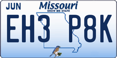 MO license plate EH3P8K
