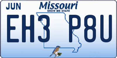 MO license plate EH3P8U