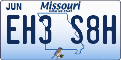 MO license plate EH3S8H